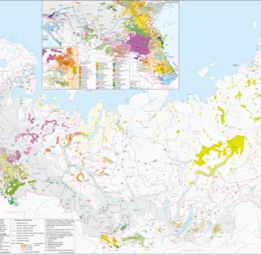 Mapa językowa Rosji według spisu powszechnego z 2021 r.