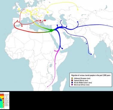 Szlaki migracyjne, które utworzyły grupy Żydów aszkenazyjskich, sefardyjskich i mizrachijskich