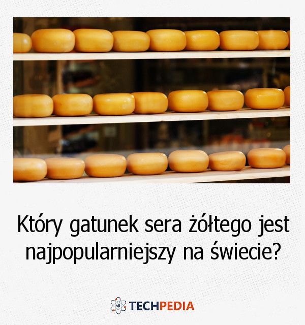 Który gatunek sera żółtego jest najpopularniejszy na świecie?