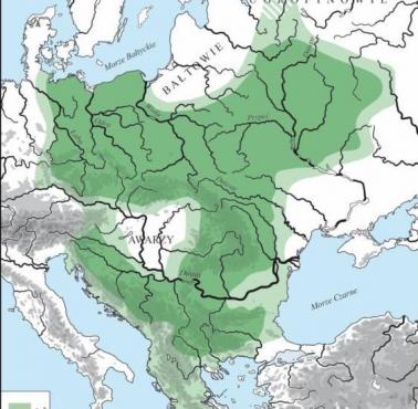 Słowianie w VIII wieku (M. Parczewski 2005). Ciemnozielony: Większość słowiańska, jasnozielony: Populacja mieszana etnicznie