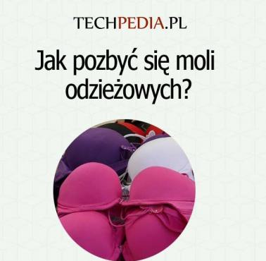 Jak pozbyć się moli  odzieżowych?