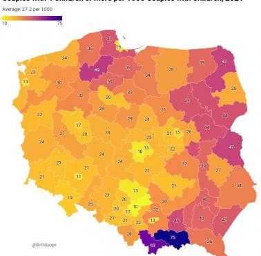 Rodziny wielodzietne 4 dzieci lub więcej na 1000 osób w Polsce, 2021