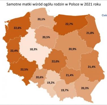Odsetek samotnych matek z podziałem na województwa w Polsce, 2021
