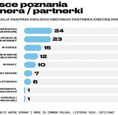 Miejsce poznania partnera/partnerki, dane dotyczące Polski, listopad 2024