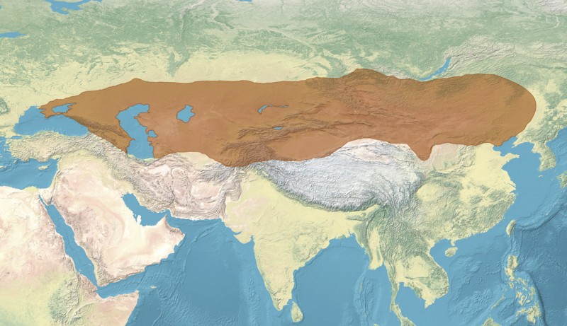 Chaganat Göktürka lub chaganat turecki był imperium transkontynentalnym od Mandżurii po Morze Czarne, 552-603 rok