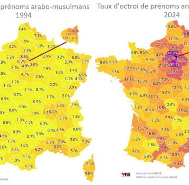 Wyznawcy islamu we Francji, 1994 vs. 2024