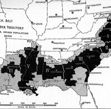 Czarny komunista Harry Haywood postulował stworzenie w USA w 1948 roku „Black Belt Republic” (Republiki Czarnego Pasa)