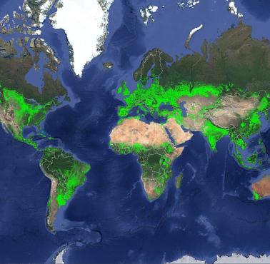 Mapa pokazująca, gdzie znajdują się wszystkie pola uprawne na świecie