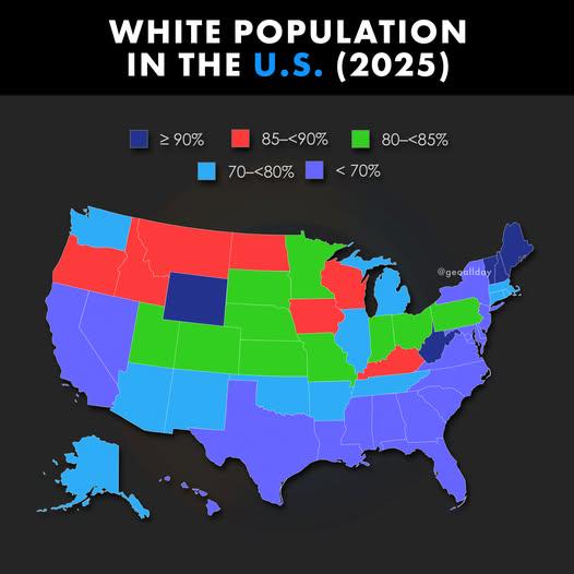 Biała populacja w USA z podziałem na stany, 2025
