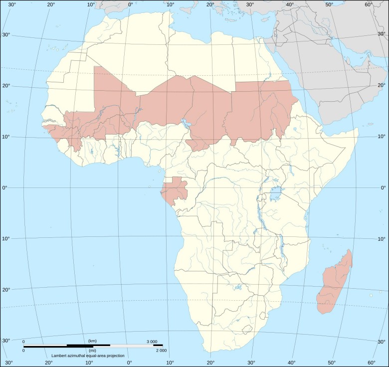 Afrykański pas udanych zamachów stanu w latach 2020-2025