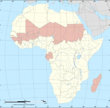 Afrykański pas udanych zamachów stanu w latach 2020-2025