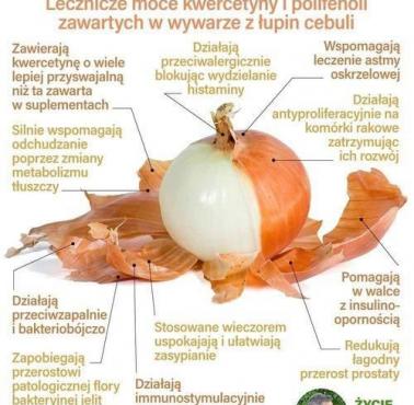 Jakie prozdrowotne cechy i właściwości ma ... cebula?