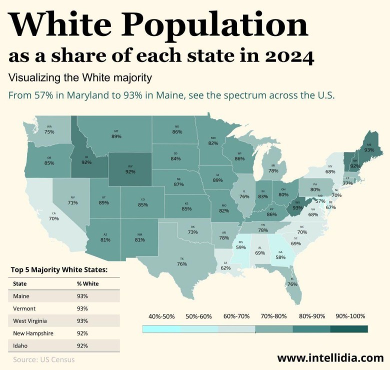 Odsetek osób rasy białej niebędących Latynosami w USA  według stanu, 2024