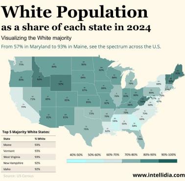 Odsetek osób rasy białej niebędących Latynosami w USA  według stanu, 2024