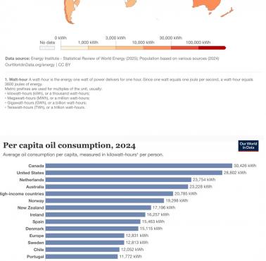 Zużycie ropy naftowej na mieszkańca, 2024 r.