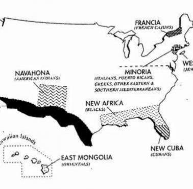 Mapa dzieląca USA na kilka terytoriów rasowych zaproponowana przez Narodowe Stowarzyszenie na rzecz Postępu Ludzi Białych w 1984
