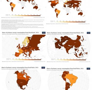 Udział paliw kopalnych w zużyciu energii pierwotnej, 2024
