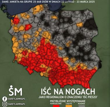 Regionalizmy "iść na nogach" "iść pieszo", 2025