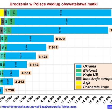Urodzenia w Polsce według obywatelstwa matek, 2015-2024 ( w tys.)