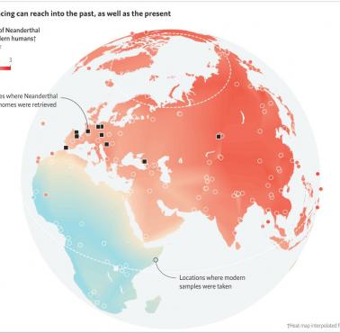 Występowanie neandertalskiego DNA u współczesnych ludzi