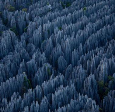 Tsingy de Bemarah (Madagaskar) - niesamowity wapienny masyw 