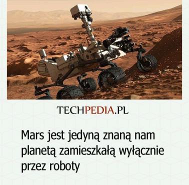 Mars jest jedyną znaną nam planetą zamieszkałą wyłącznie przez roboty