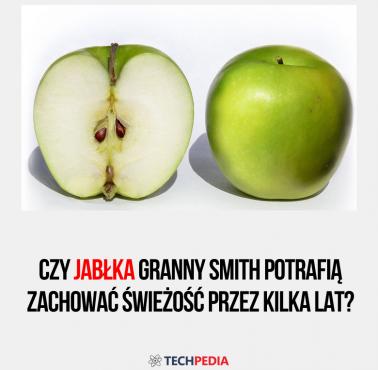 Jabłka Granny Smith potrafią zachować świeżość przez kilka lat?