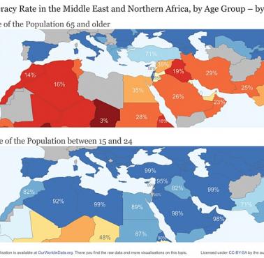 Analfabetyzm w krajach MENA (Bliski Wschód, Afryka Północna)