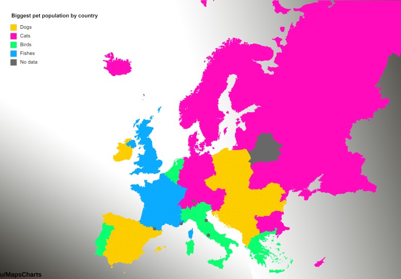 Największa populacja zwierząt domowych w krajach europejskich