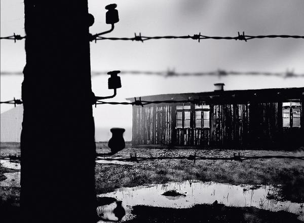 Z listu 120 Żydów z Izraela do Żydów w Polsce listopad 1946: Znana była ŻYCZLIWOŚĆ narodu ...