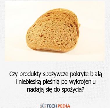 Czy produkty spożywcze pokryte białą i niebieską pleśnią po wykrojeniu nadają się do spożycia?