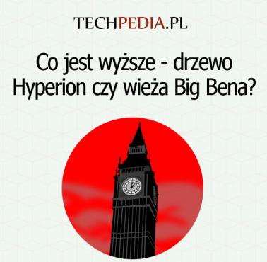 Co jest wyższe - drzewo Hyperion czy wieża Big Bena?