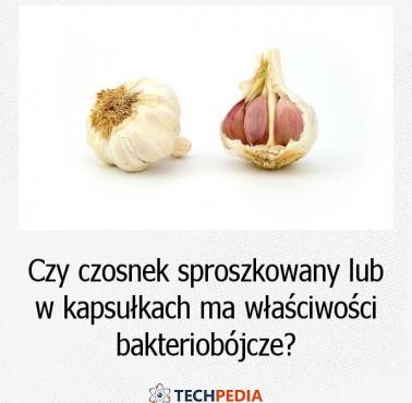 Czy czosnek sproszkowany lub w kapsułkach ma właściwości bakteriobójcze?