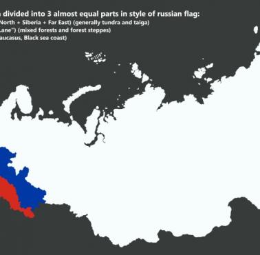 Ludność Rosji podzielona na 3 prawie równe części
