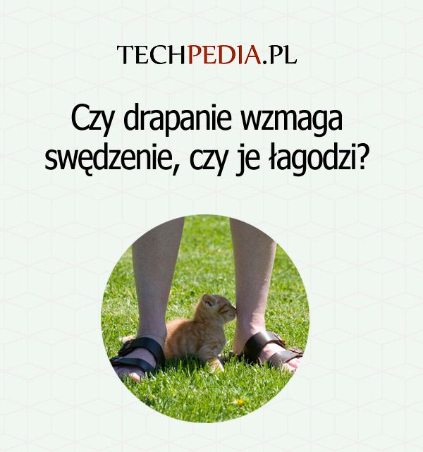 Czy drapanie wzmaga swędzenie, czy je łagodzi?