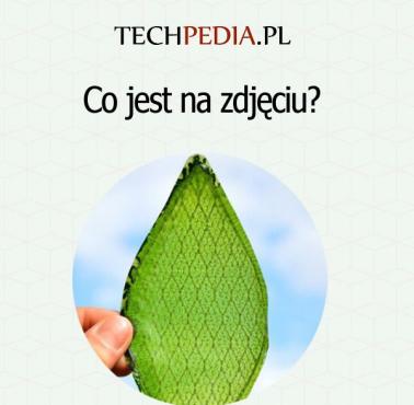 Co jest na zdjęciu?