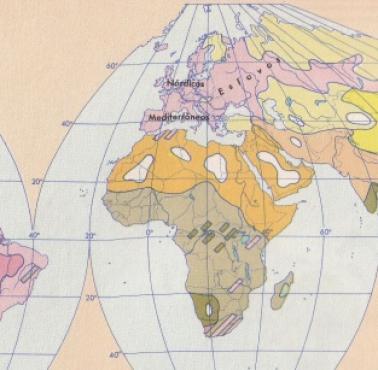 Mapa rasowa świata (kolor skóry rdzennych populacji) opracowana w 1962 roku