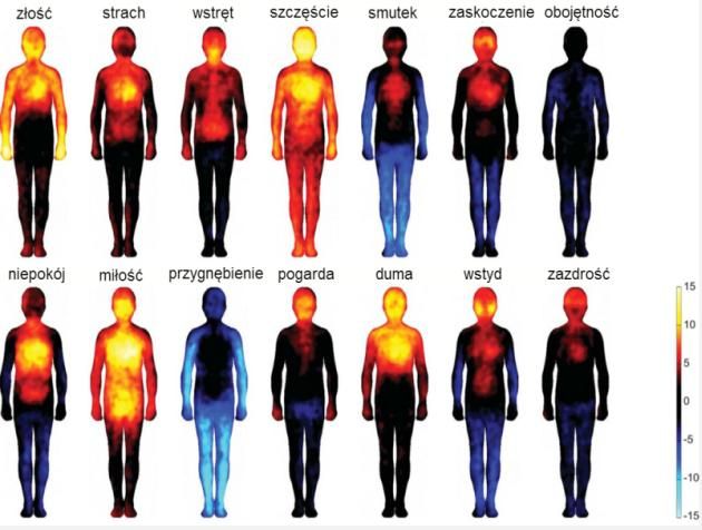 W ciele człowieka emocje wywołują określone reakcje fizyczne, oto ich mapa.