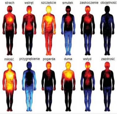 W ciele człowieka emocje wywołują określone reakcje fizyczne, oto ich mapa.