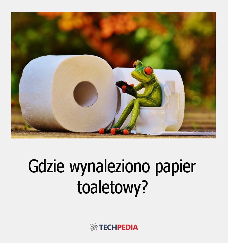 Gdzie wynaleziono papier toaletowy?