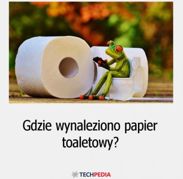 Gdzie wynaleziono papier toaletowy?
