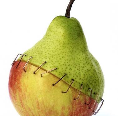 Frankefruit