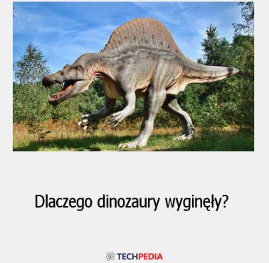 Dlaczego dinozaury wyginęły?