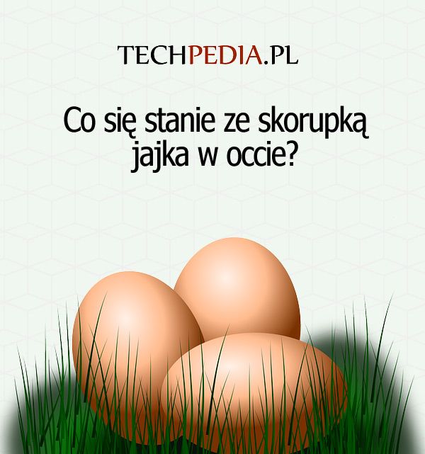 Co się stanie ze skorupką jajka w occie?