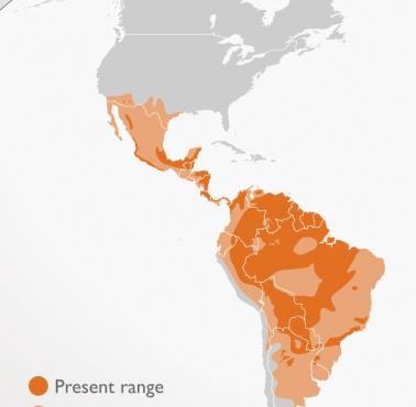Zasięg występowania jaguarów