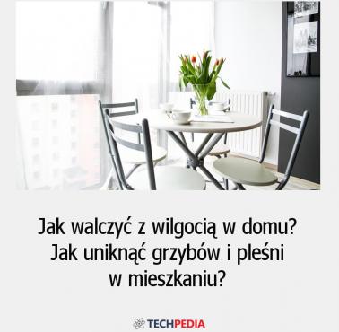 Jak walczyć z wilgocią w domu? Jak uniknąć grzybów i pleśni w mieszkaniu?