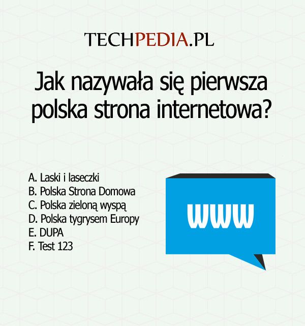 Jak nazywała się pierwsza polska strona internetowa?