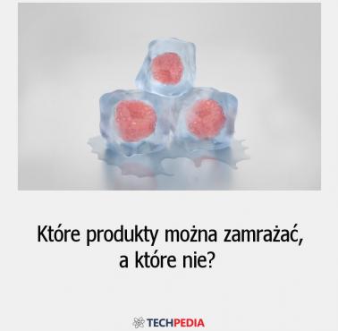 Które produkty można zamrażać, a które nie?