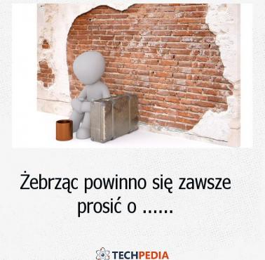 Żebrząc powinno się zawsze prosić o ......