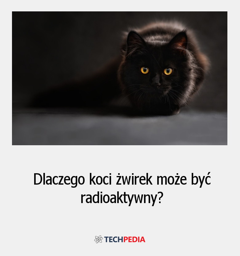 Dlaczego koci żwirek może być radioaktywny?